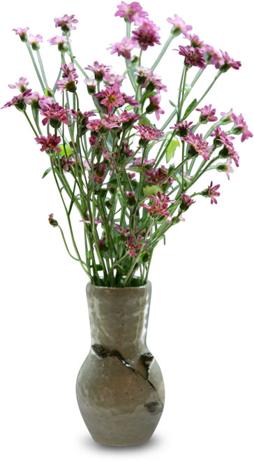 花・葉の写真画像-紫・花瓶
