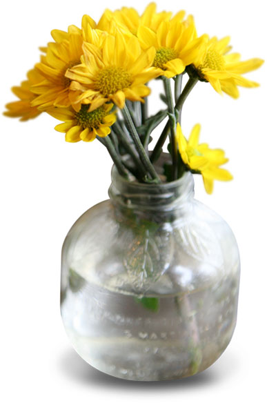 花・葉の写真画像-黄・ガラスの花瓶