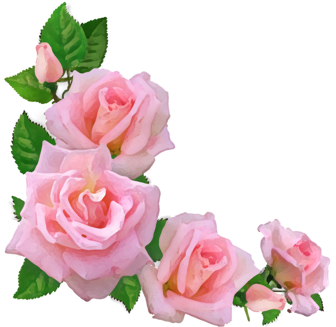 ピンクの花のイラスト フリー素材 No 355 ピンクのバラ つぼみ