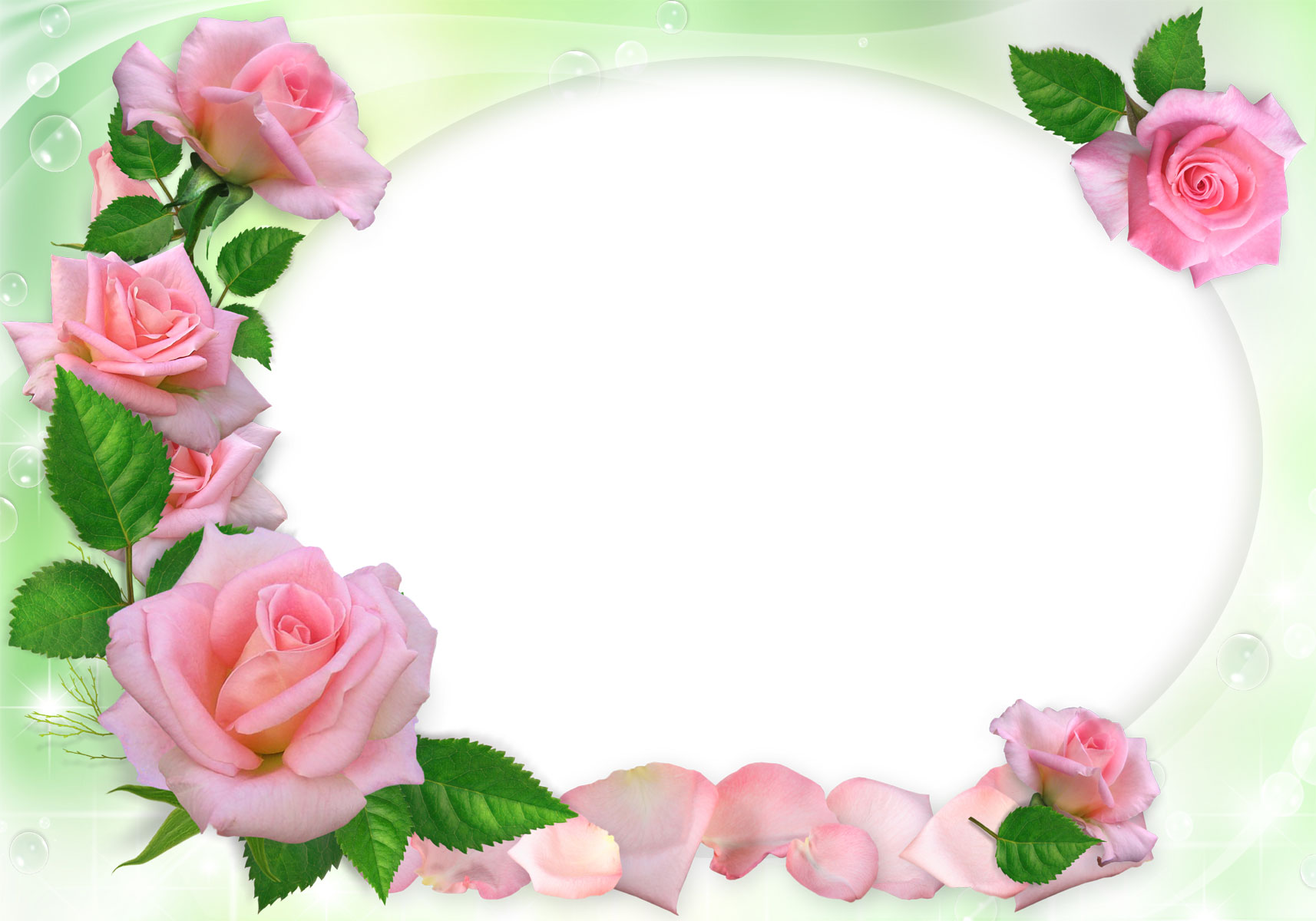 花や葉の写真 画像 フリー素材 フレーム枠no 1142 ピンクのバラ 花びら