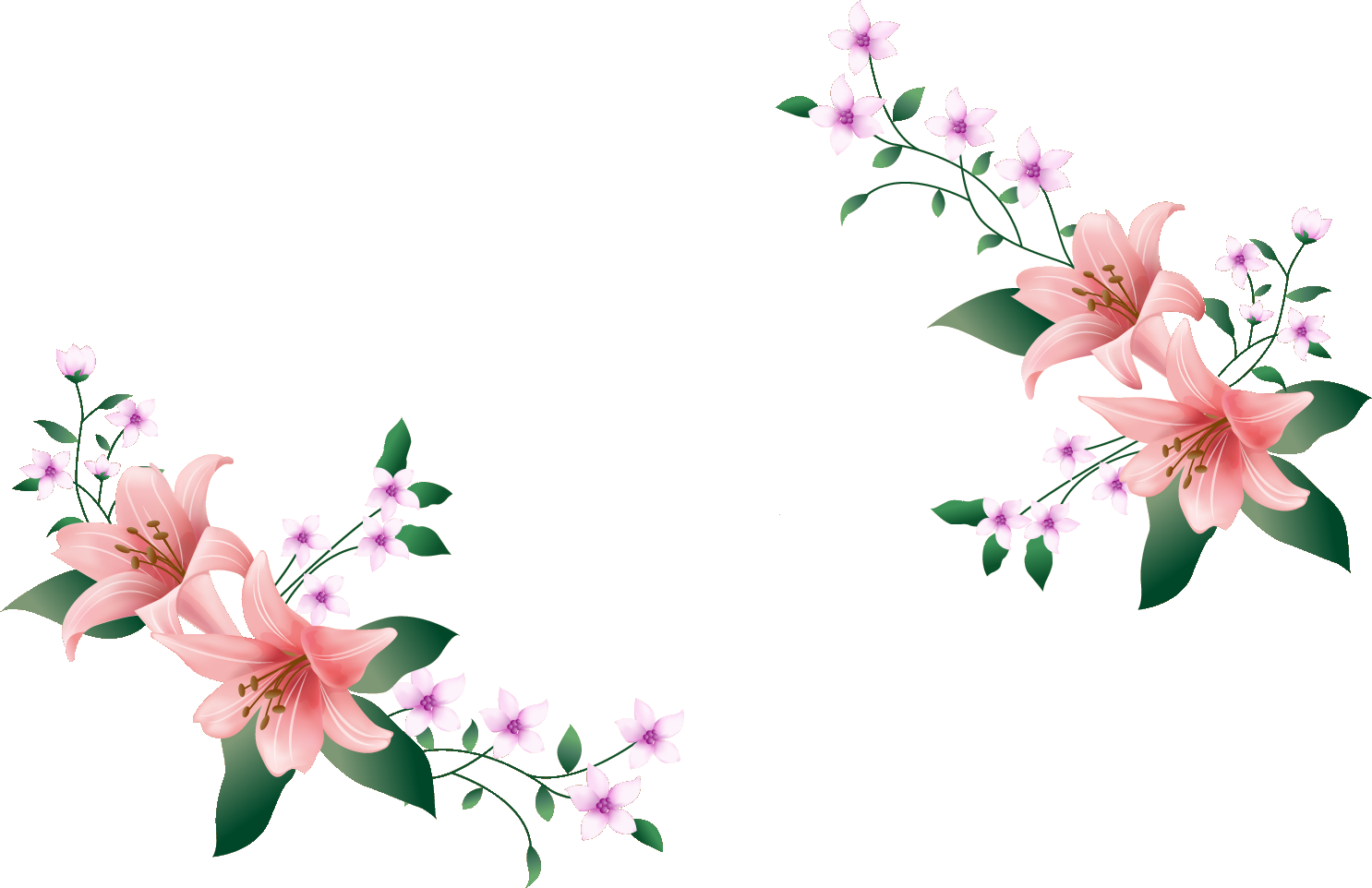 リアルな花のイラスト フリー素材 フレーム枠no 12 ピンクのユリ