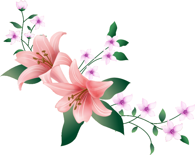 百合 ゆり の花の画像 イラスト フリー素材 No 073 ピンクのゆり