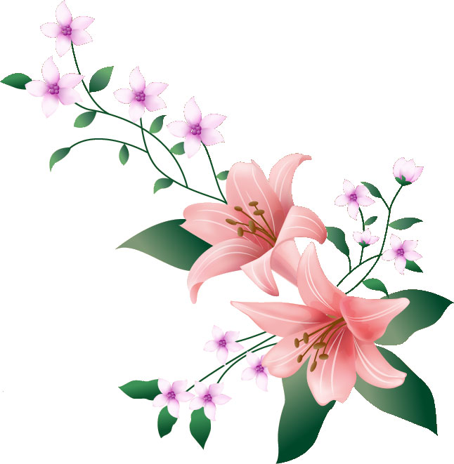 リアルタッチな花のイラスト フリー素材 No 294 ピンクのユリ