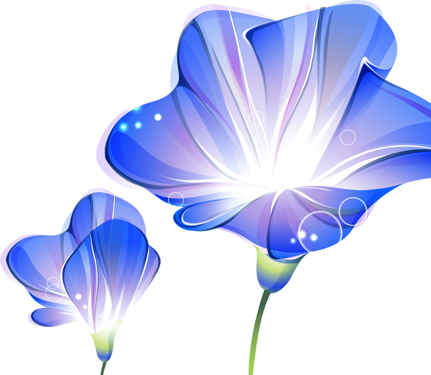 ポップでかわいい花のイラスト・フリー素材／No.083『青いアサガオ』