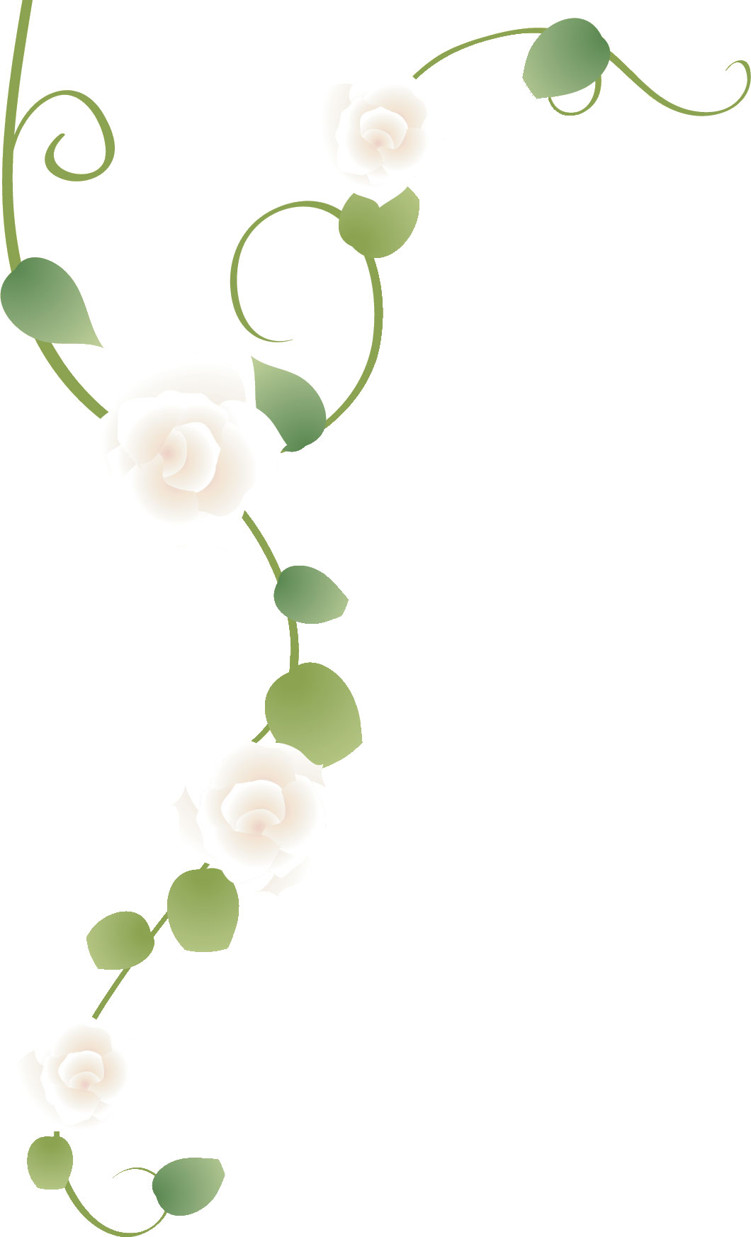 薔薇のイラスト見本-白バラ・茎葉・蔓