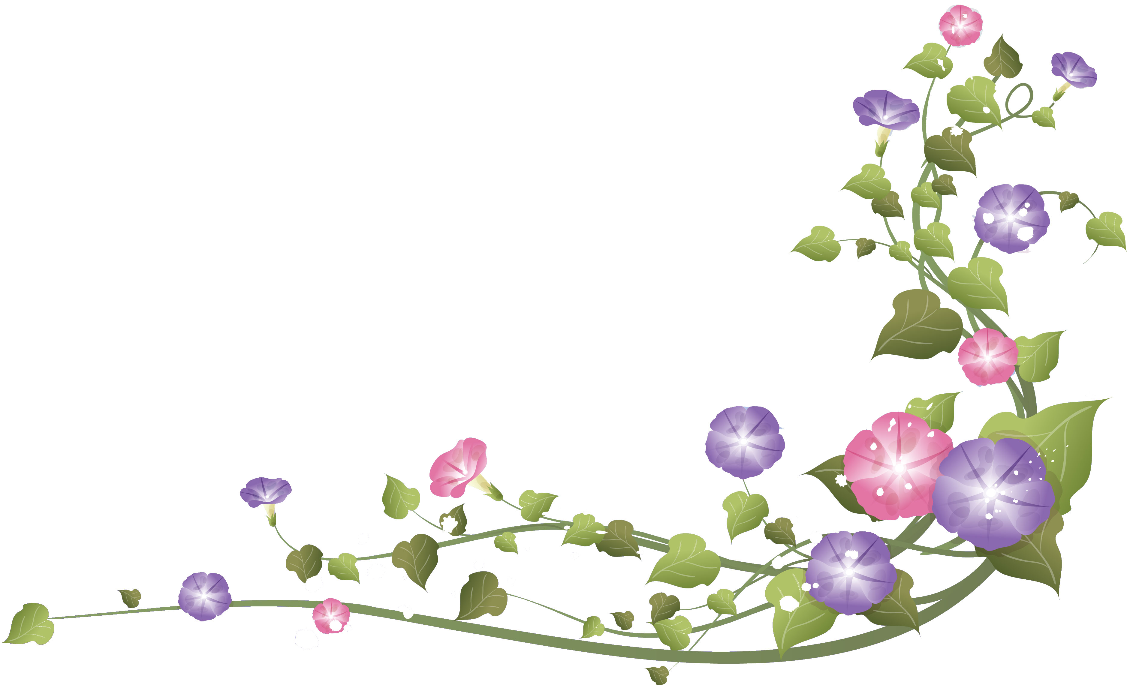 リアルな花のイラスト フリー素材 角 コーナー用no 1556 青 赤紫のアサガオ