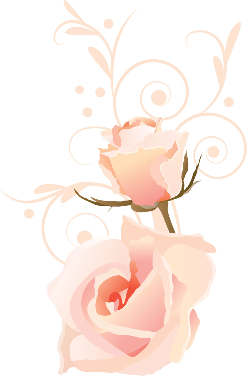薔薇のイラスト見本-ピンクのバラ