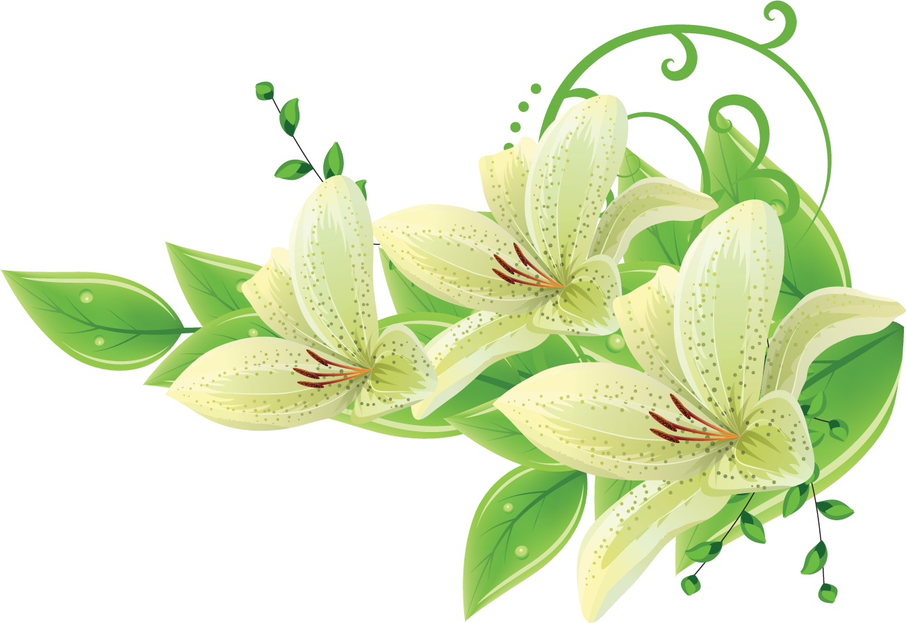 百合 ゆり の花の画像 イラスト フリー素材 No 113 緑のゆり 斑点
