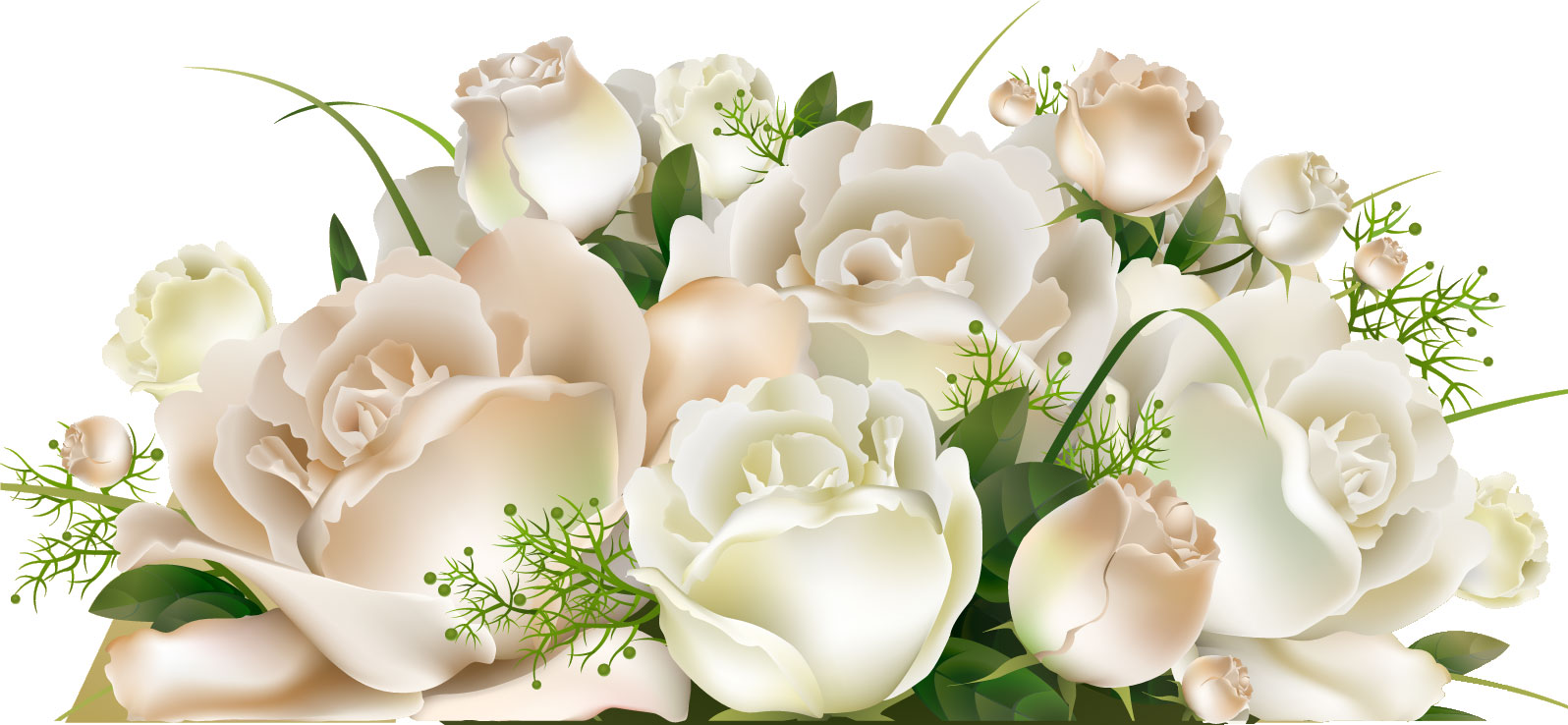 薔薇のイラスト見本-白バラの束