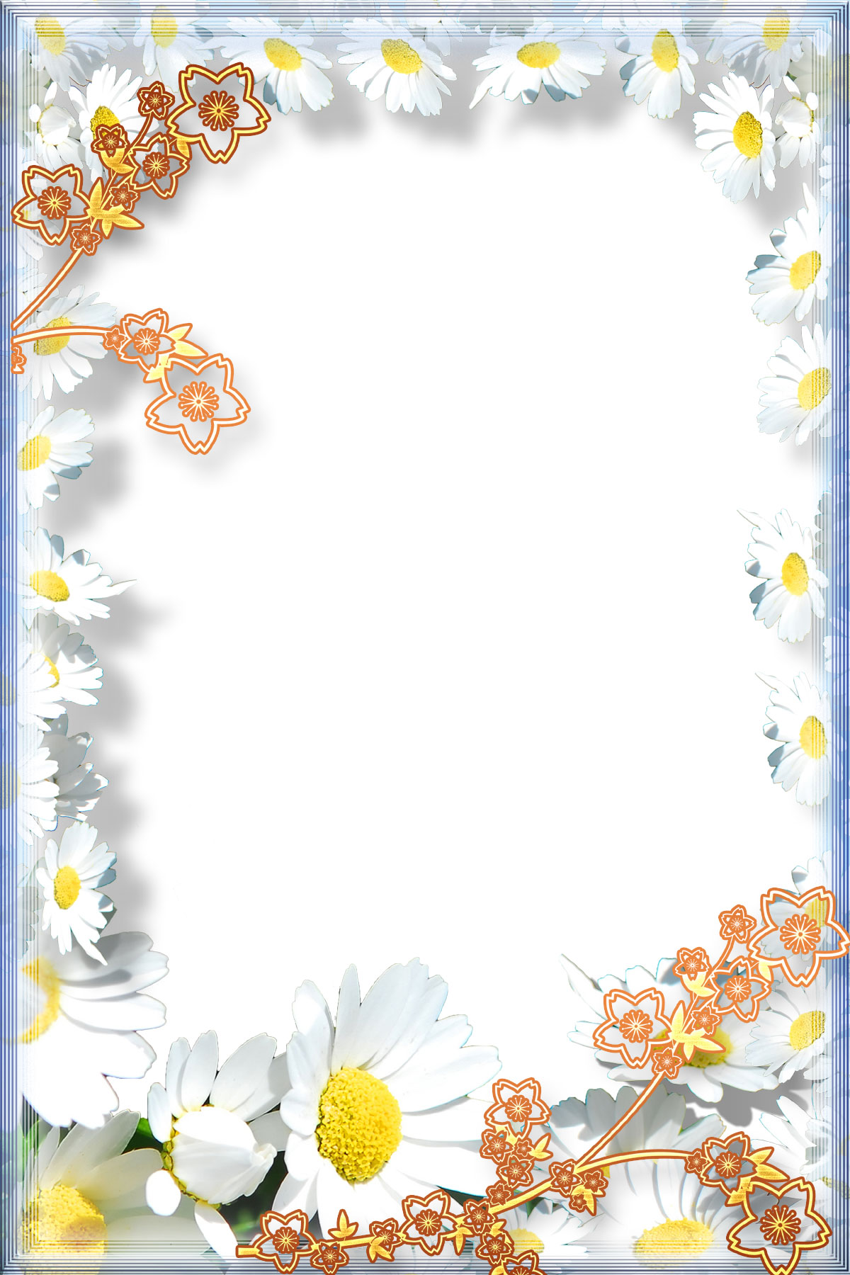 花の写真 フリー素材 フレーム枠no 104 白 コスモス 花輪