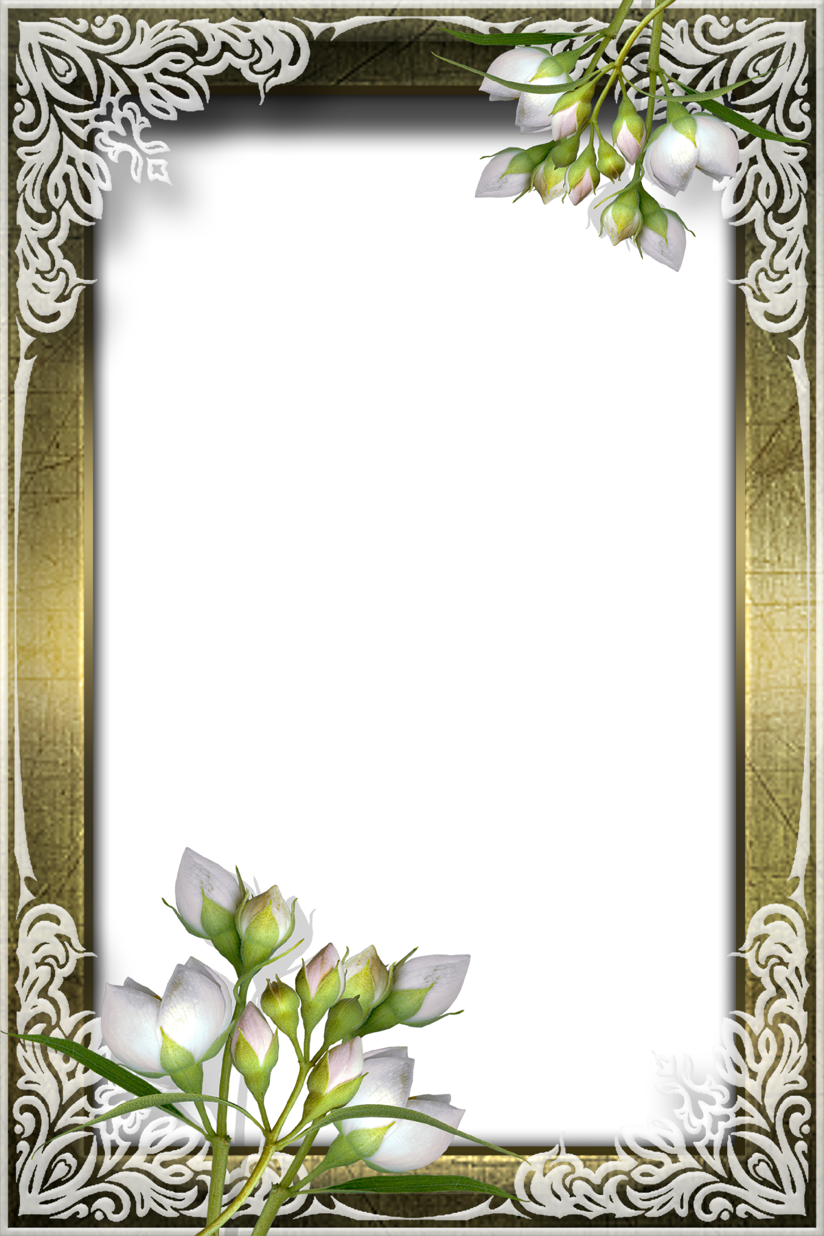 白い花の写真 フリー素材 No 606 薄紫 つぼみ 木枠