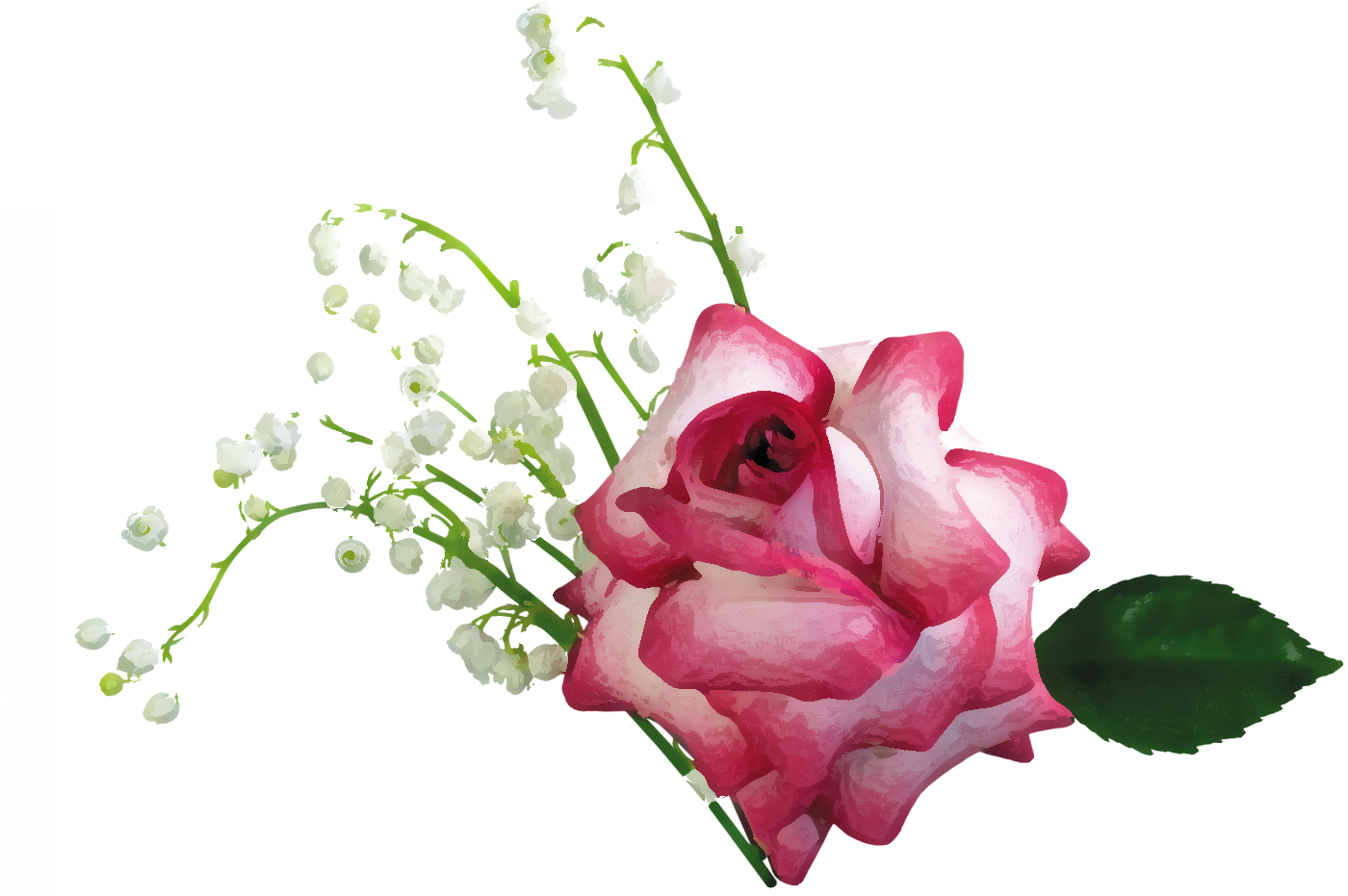 リアルタッチな花のイラスト フリー素材 No 381 赤いバラ 鈴蘭