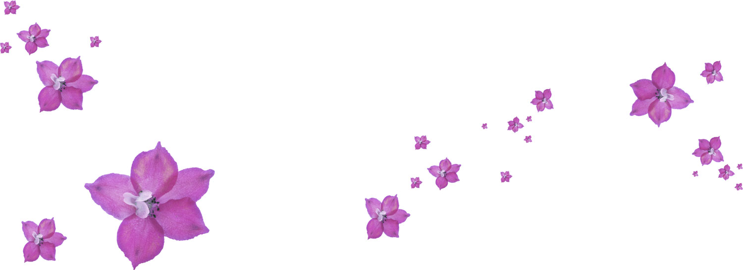 花のライン線イラスト-大小散らばり・紫