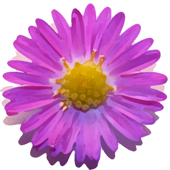 紫色の花のイラスト フリー素材 No 078 紫コスモス