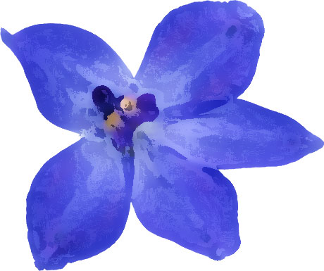 青い花のイラスト フリー素材 No 053 青 5枚葉