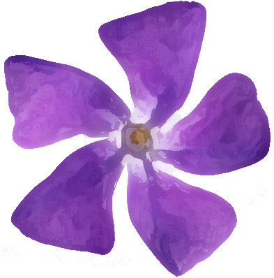 紫色の花のイラスト フリー素材 No 0 紫 5枚花びら