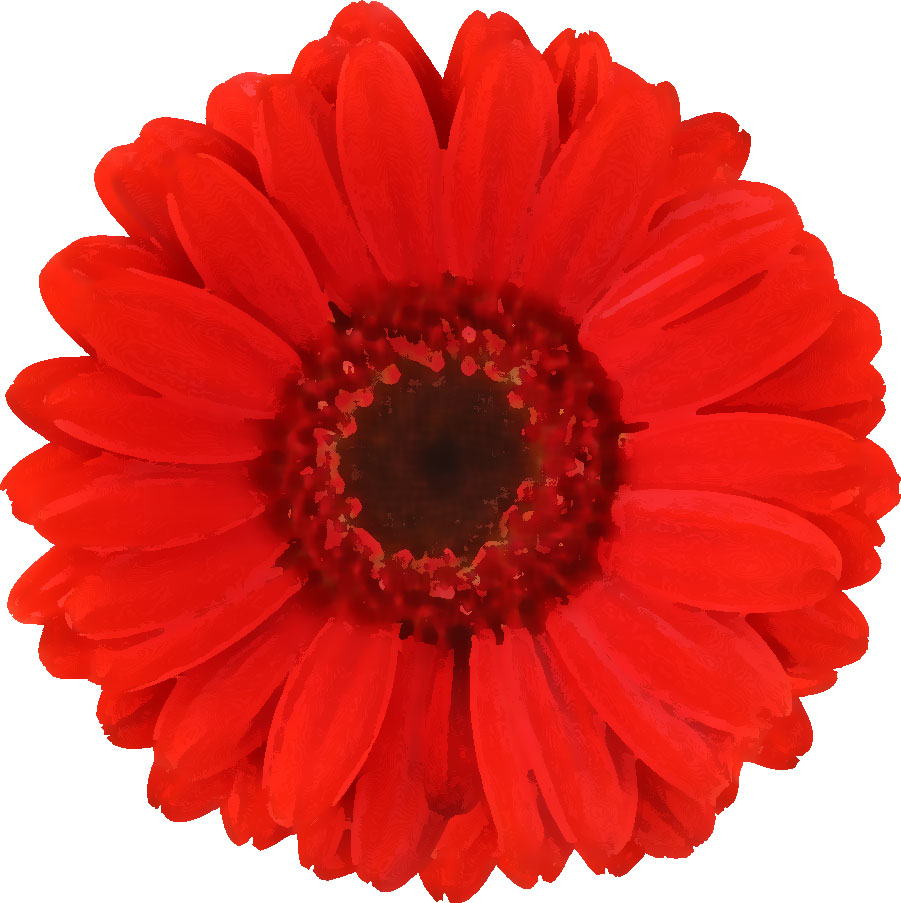 赤い花のイラスト フリー素材 No 075 赤