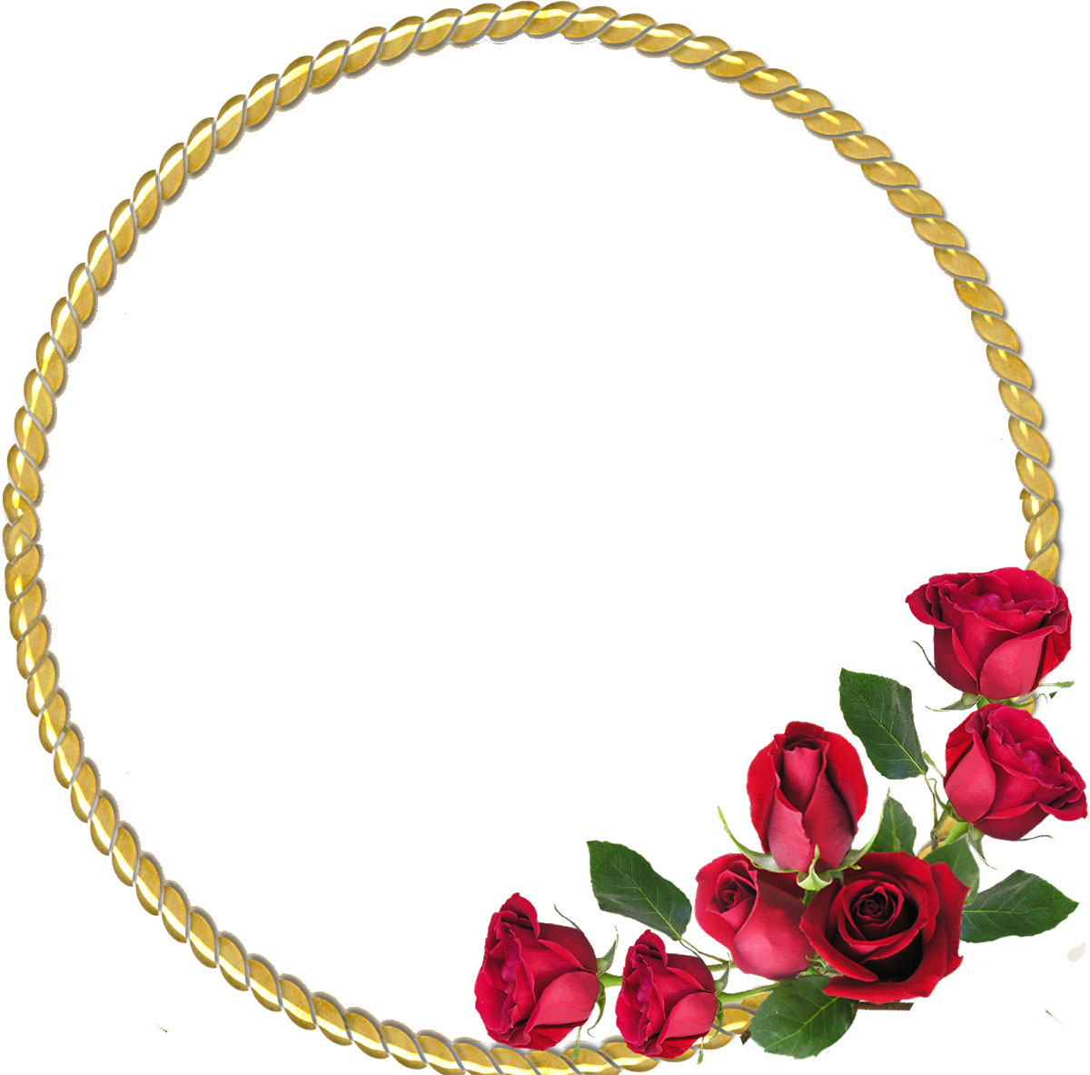 花のイラスト フリー素材 フレーム枠no 151 赤いバラ 葉 透過色