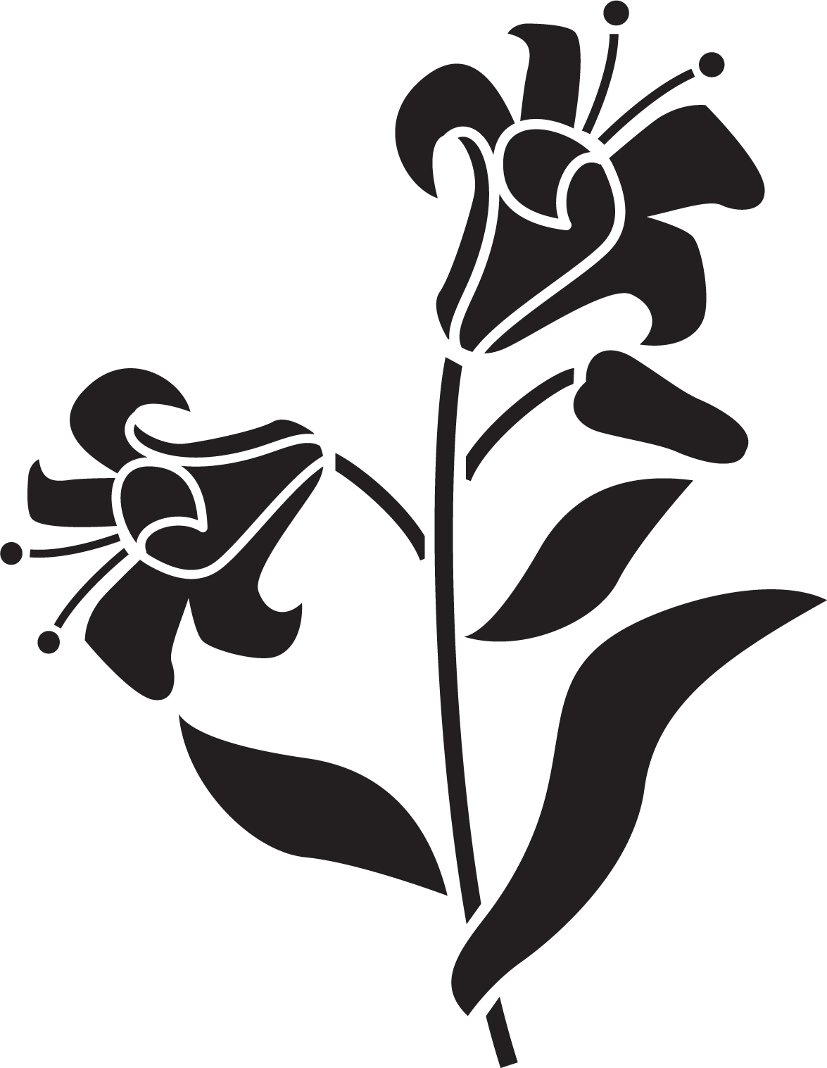 百合 ゆり の花の画像 イラスト フリー素材 No 103 白黒 葉 ユリ