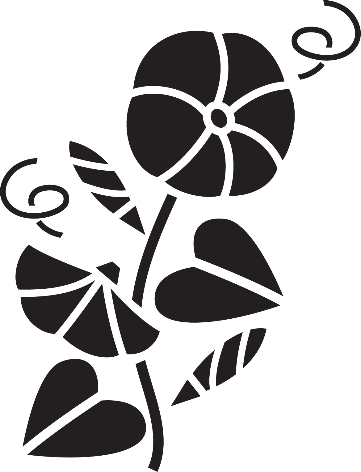 花のイラスト フリー素材 白黒 モノクロno 226 白黒 アサガオ 葉