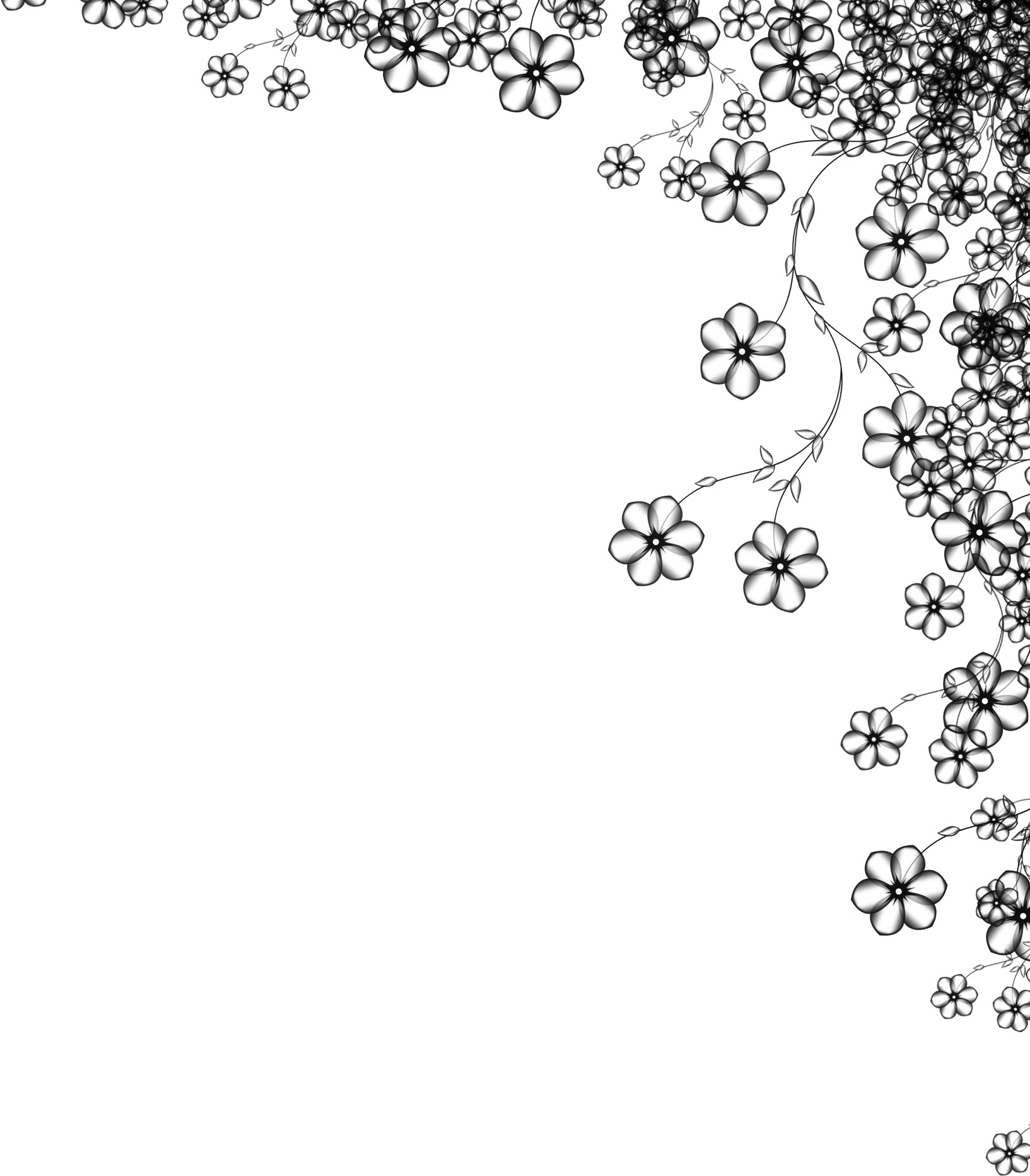 白黒 モノクロの花のイラスト フリー素材 ライン線 コーナー用no 0 白黒 葉 コーナー