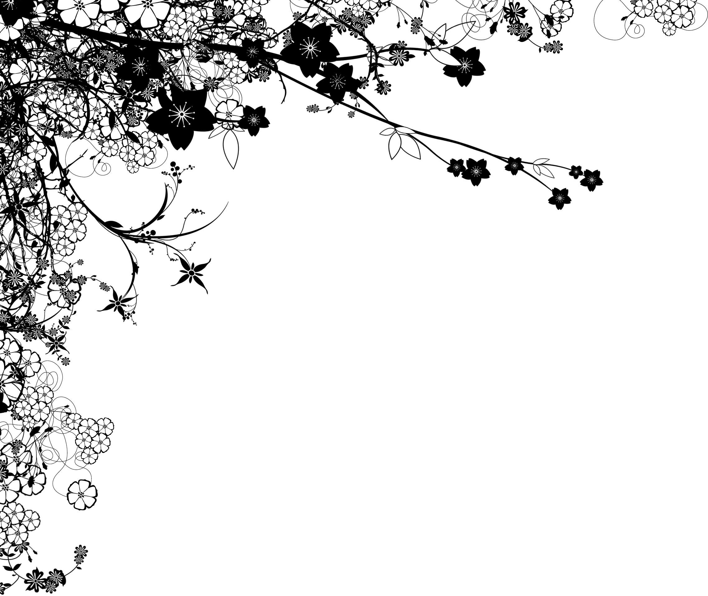 ベスト花 イラスト 白黒 ライン 最高の花の画像