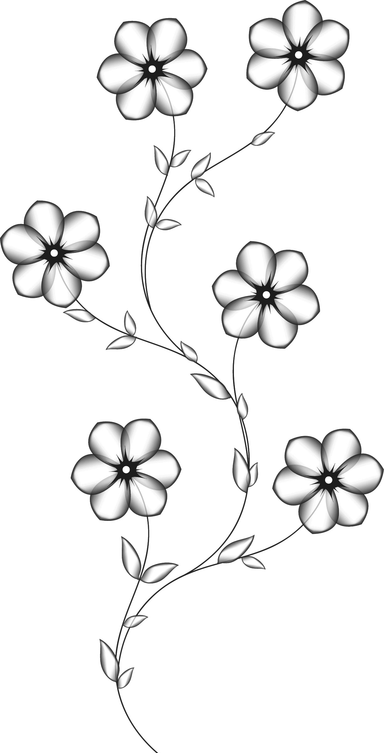 白黒の花のイラスト-白黒・六輪・茎葉