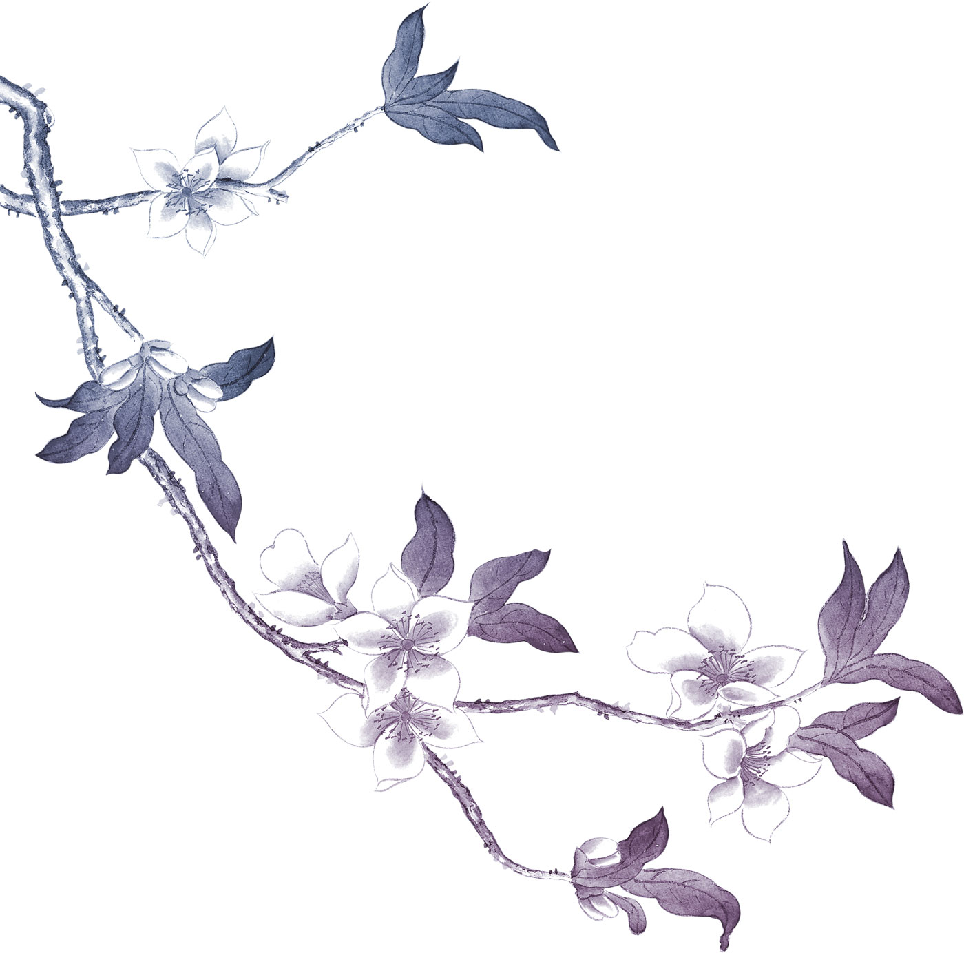 リアルタッチな花のイラスト フリー素材 No 1036 青紫 枝 和風
