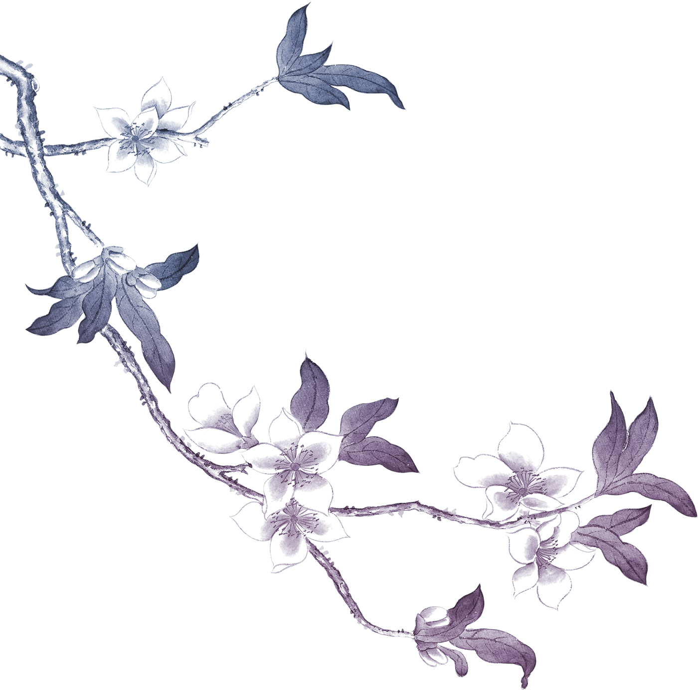 リアルタッチな花のイラスト フリー素材 No 1036 青紫 枝 和風