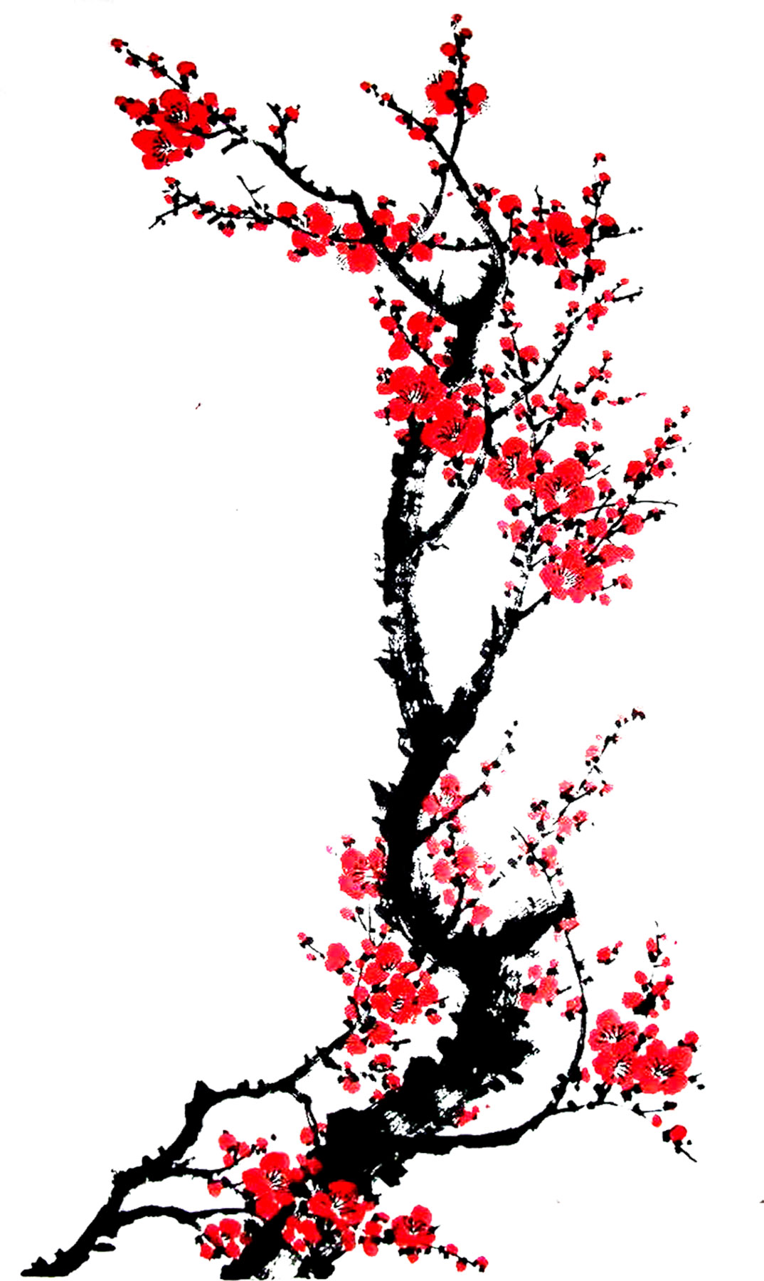 うめ 梅 のイラスト 画像no 041 ウメの木 和風 手書き風 無料の