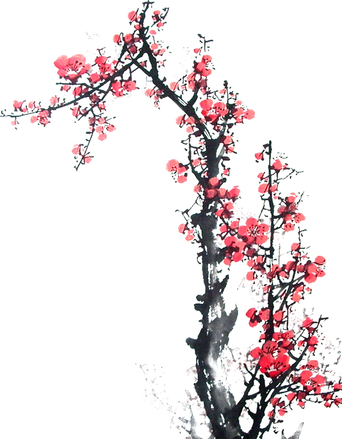 赤い花のイラスト フリー素材 No 6 梅の花 枝 赤 和風