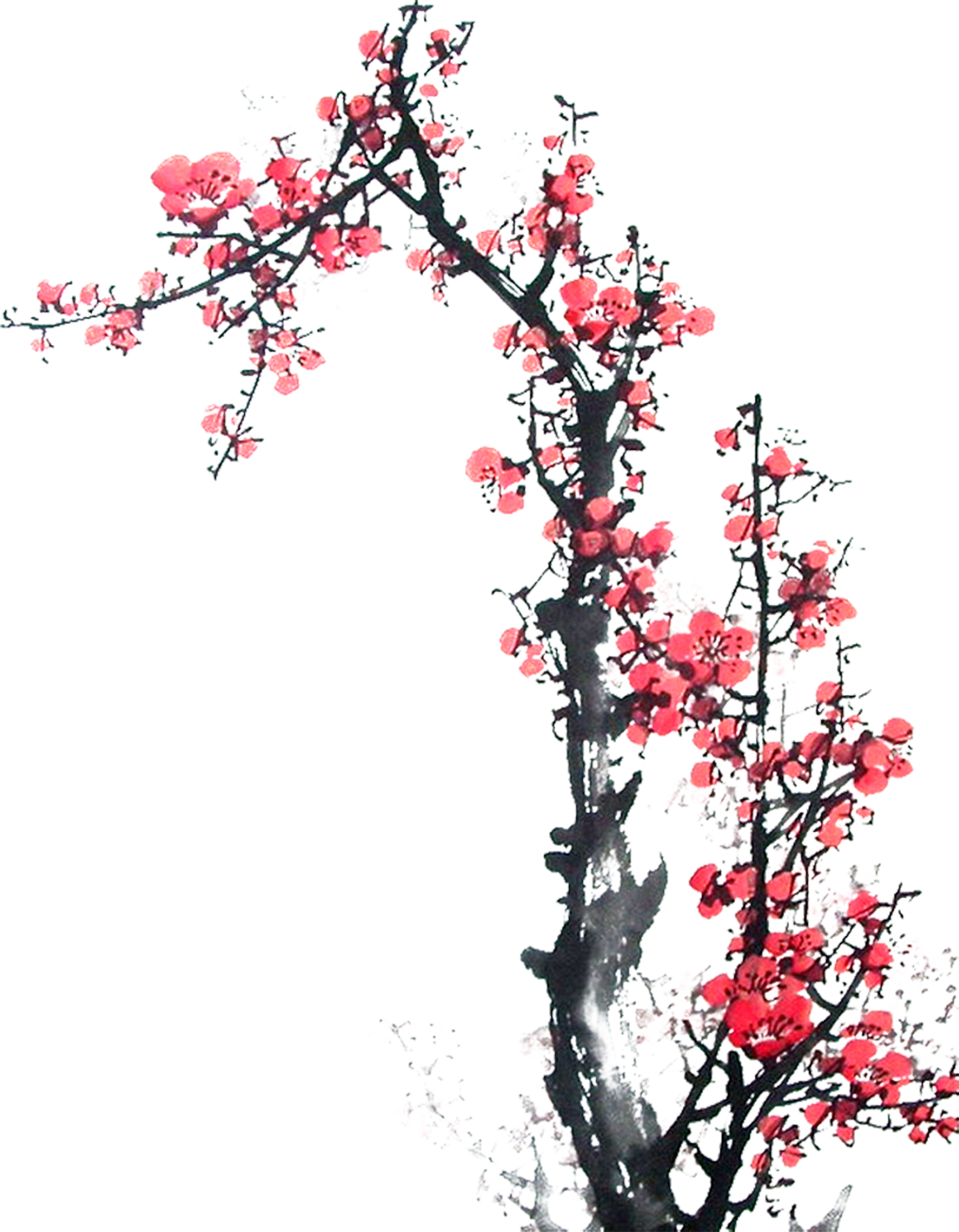 うめ 梅 のイラスト 画像no 046 ウメの木 和風 手書き風 無料のフリー素材集 百花繚乱