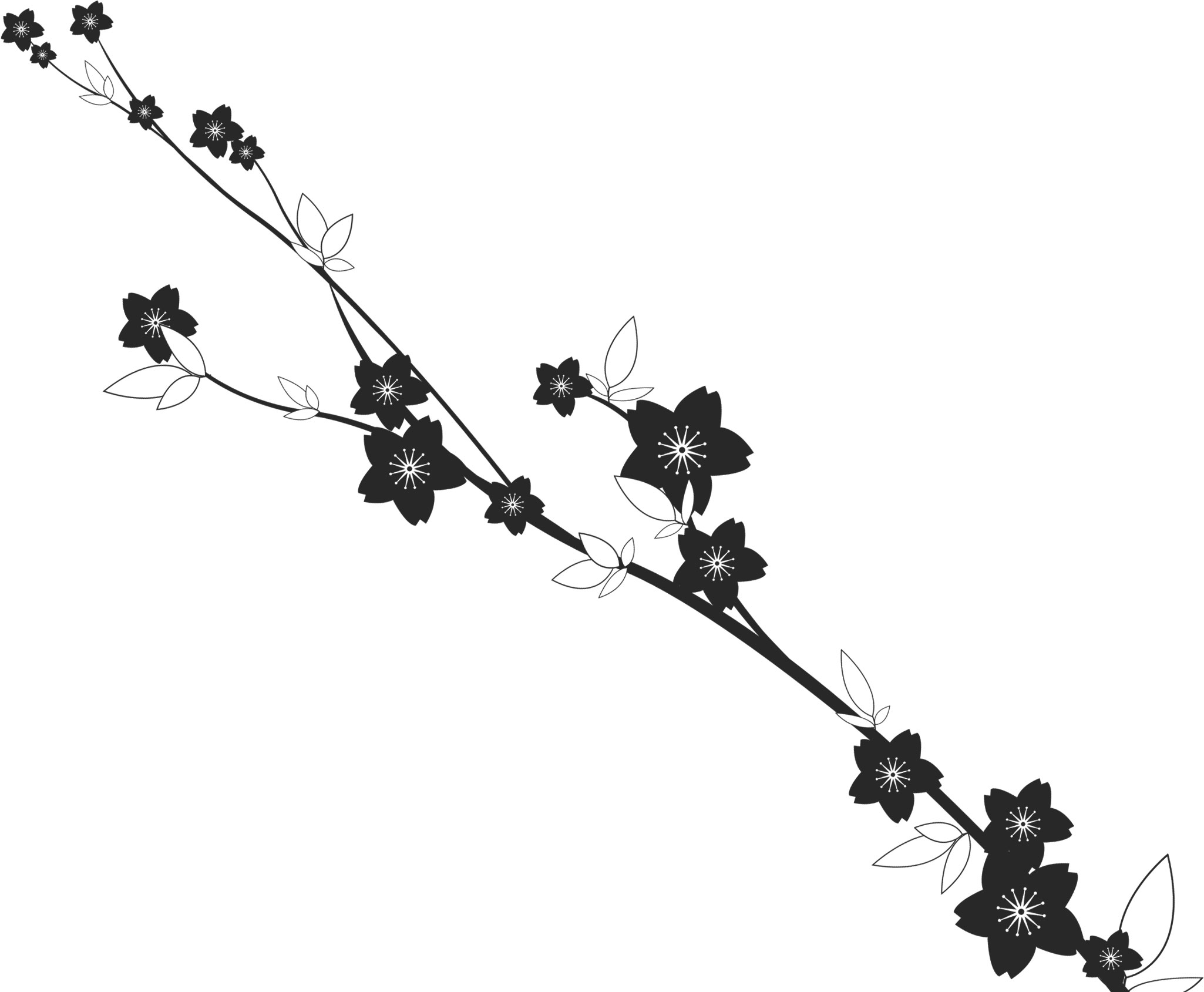 花のイラスト フリー素材 白黒 モノクロno 614 白黒 枝葉 桜型
