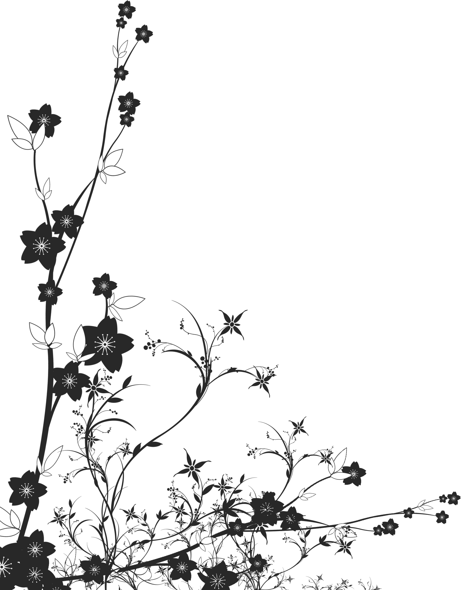 白黒 モノクロの花のイラスト フリー素材 ライン線 コーナー用no 901 白黒 茎葉 桜型