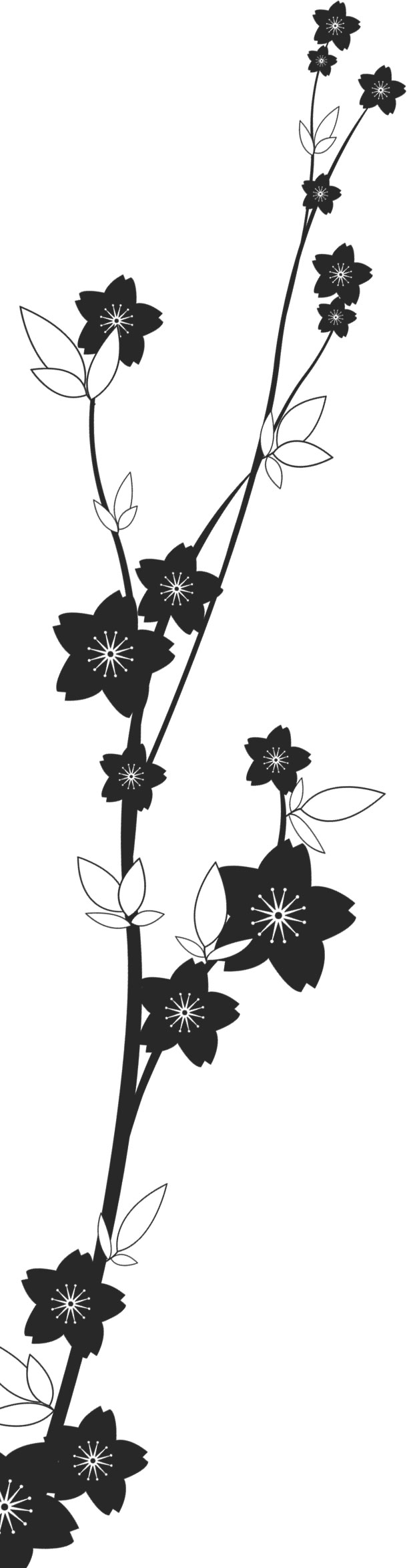 美しい花の画像 50 桜 イラスト 枠 白黒