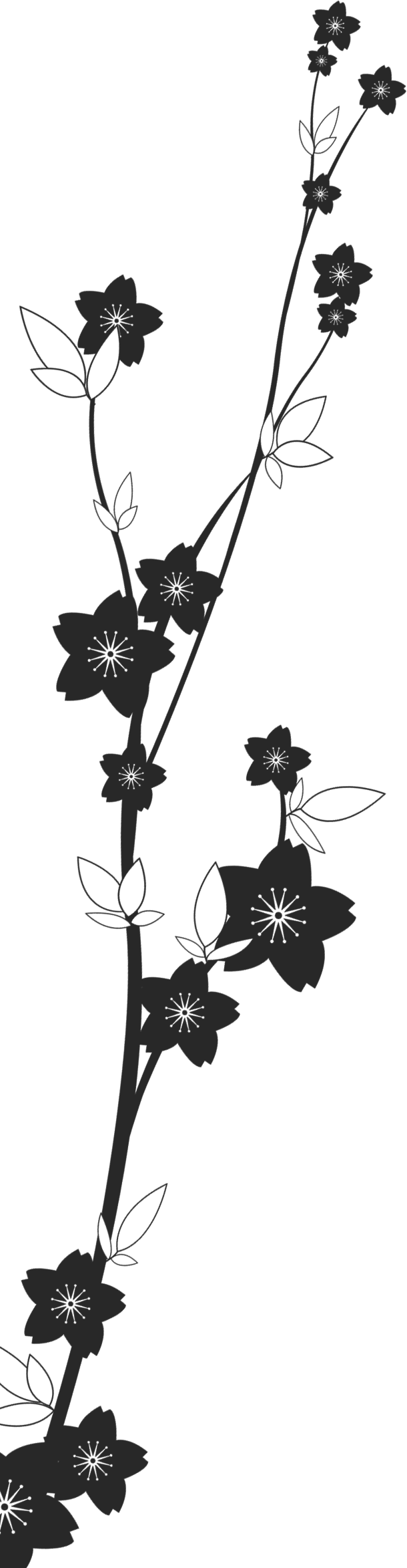 花のイラスト フリー素材 白黒 モノクロno 616 白黒 茎葉 桜型