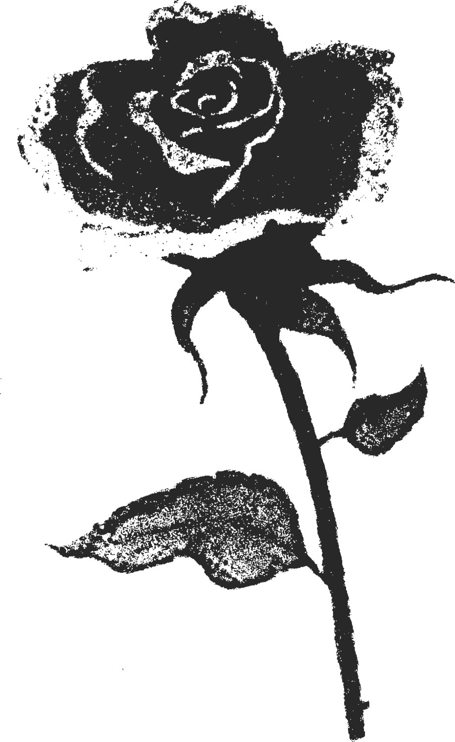 最高薔薇 イラスト 白黒 フリー ただのディズニー画像