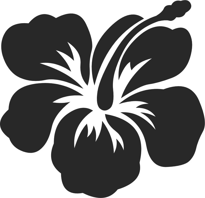 白黒の花のイラスト-白黒・ハイビスカス