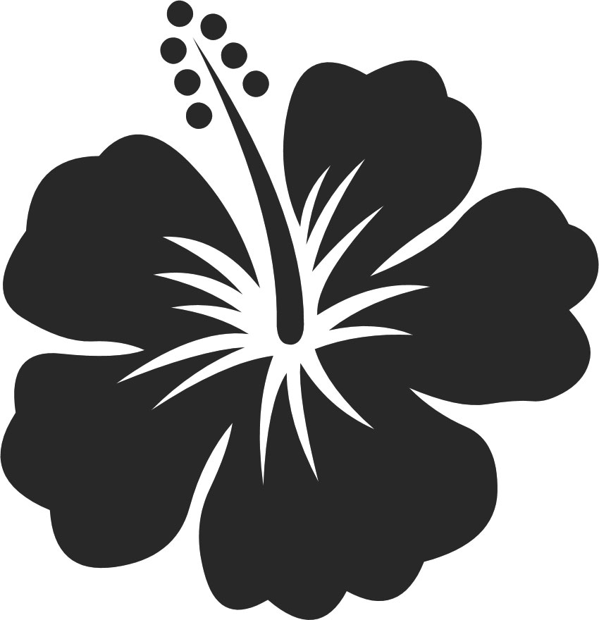 ポップでかわいい花のイラスト フリー素材 No 8 白黒 ハイビスカス