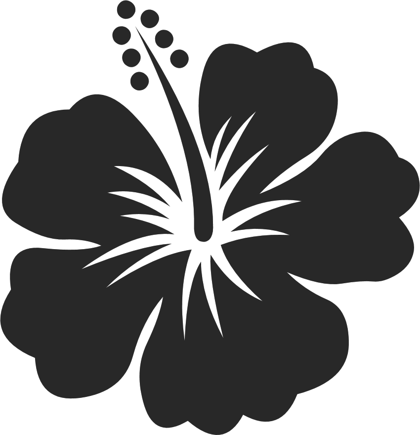 白黒 モノクロの花のイラスト フリー素材 花一輪no 671 白黒 ハイビスカス