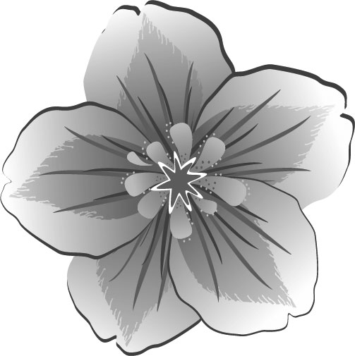 白黒 モノクロの花のイラスト フリー素材 花一輪no 710 白黒 グラデーション