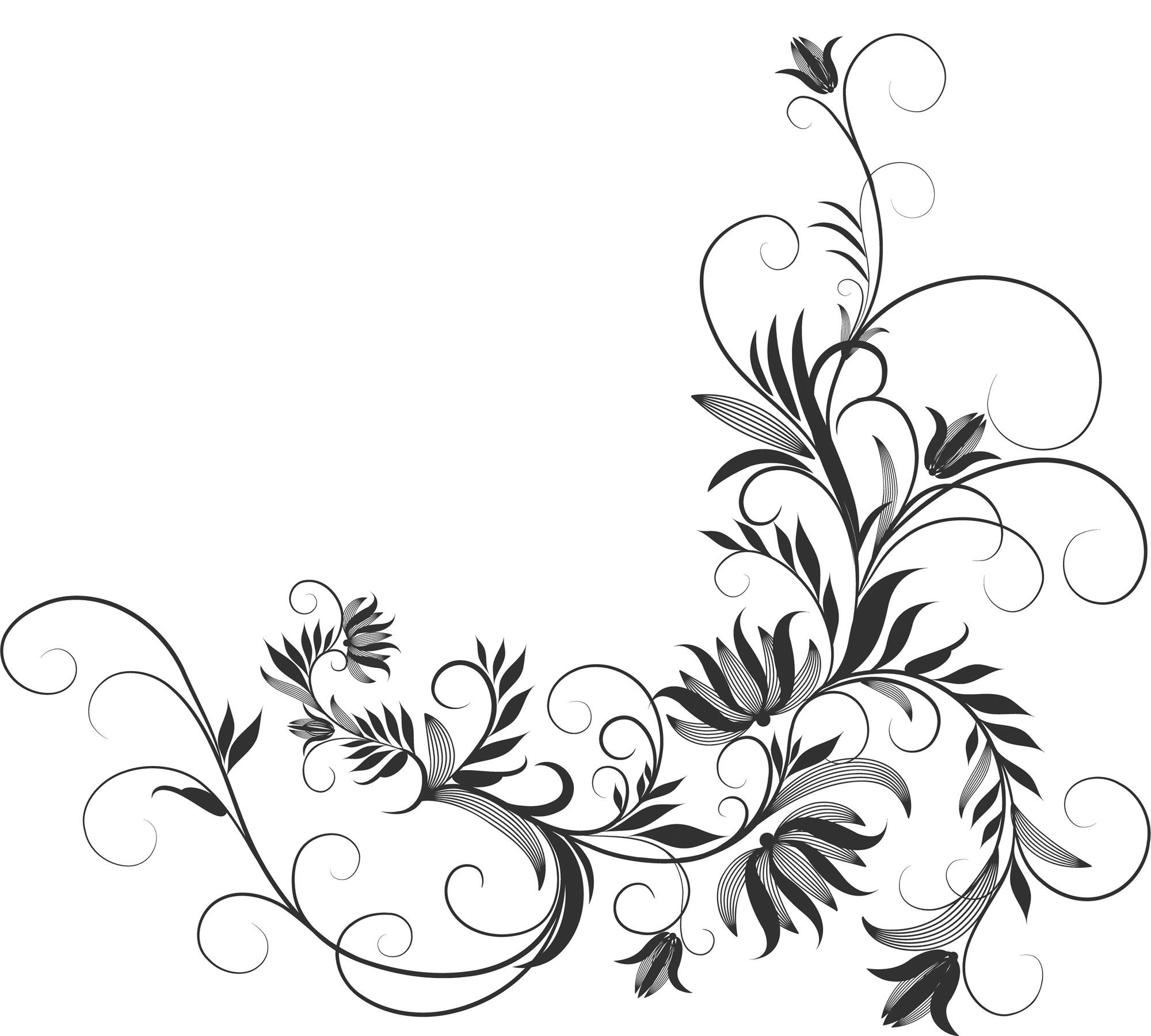 ポップでかわいい花のイラスト フリー素材 No 1190 白黒 蔓葉 コーナー