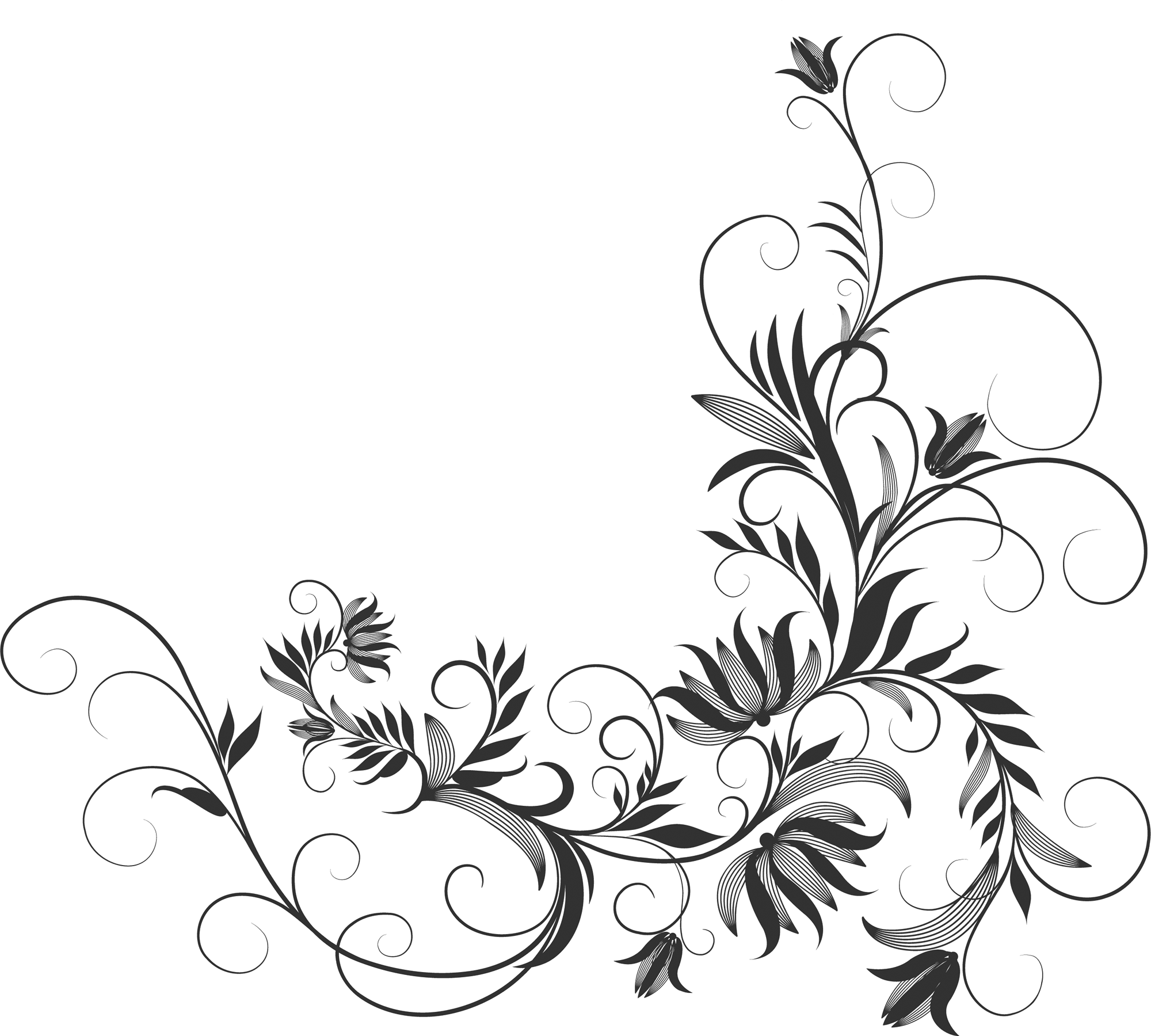 白黒 モノクロの花のイラスト フリー素材 ライン線 コーナー用no 875 白黒 蔓葉 コーナー