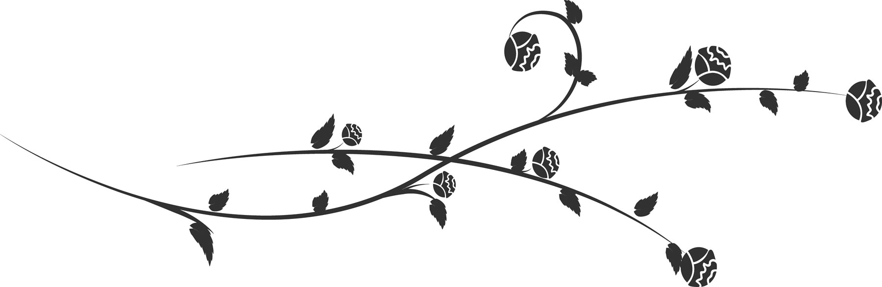 花のイラスト フリー素材 フレーム枠no 294 白黒 茎葉 曲線