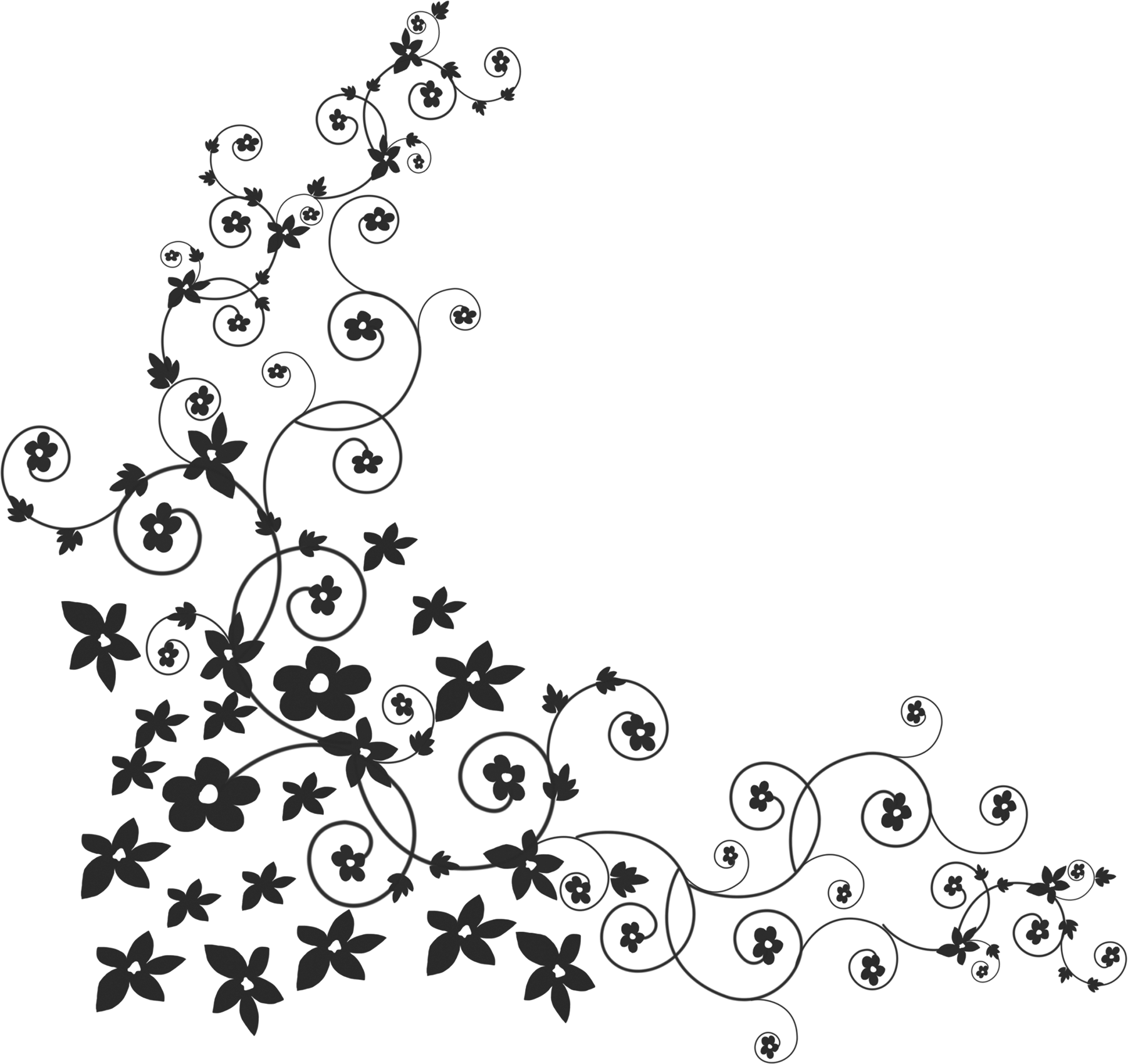 白黒 モノクロの花のイラスト フリー素材 ライン線 コーナー用no 879 白黒 蔓葉 いっぱい