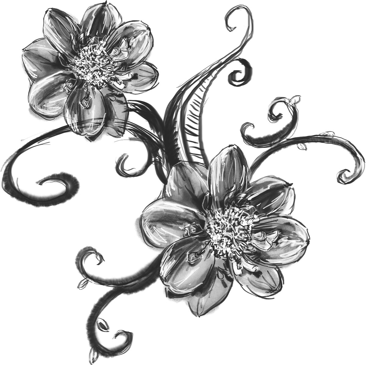 白黒 モノクロの花のイラスト フリー素材 花一輪no 725 白黒