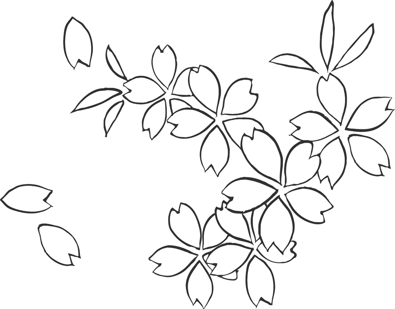 花のイラスト フリー素材 白黒 モノクロno 059 白黒 さくら