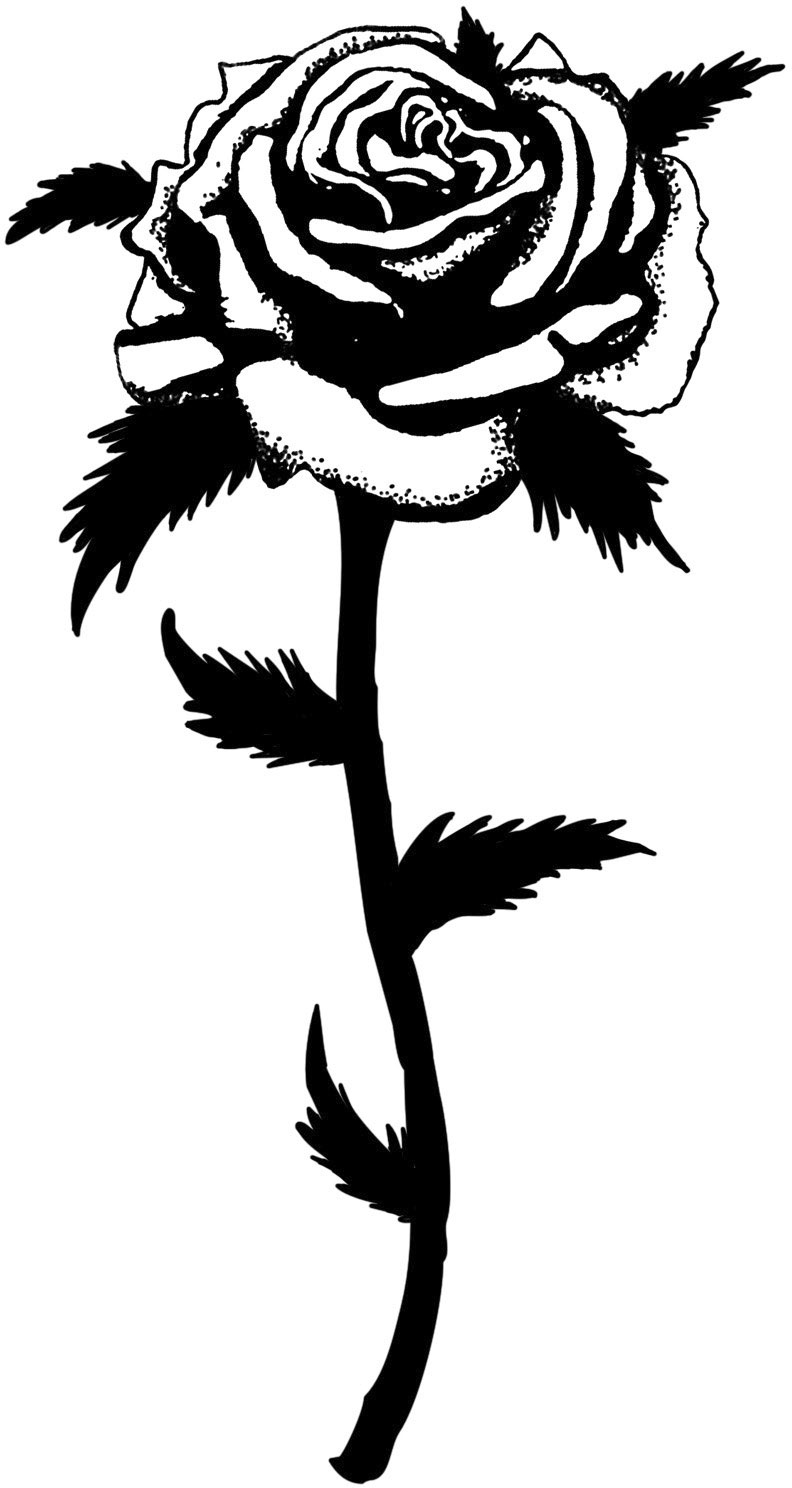 リアルな花のイラスト フリー素材 白黒 モノクロno 90 白黒 バラ 茎葉