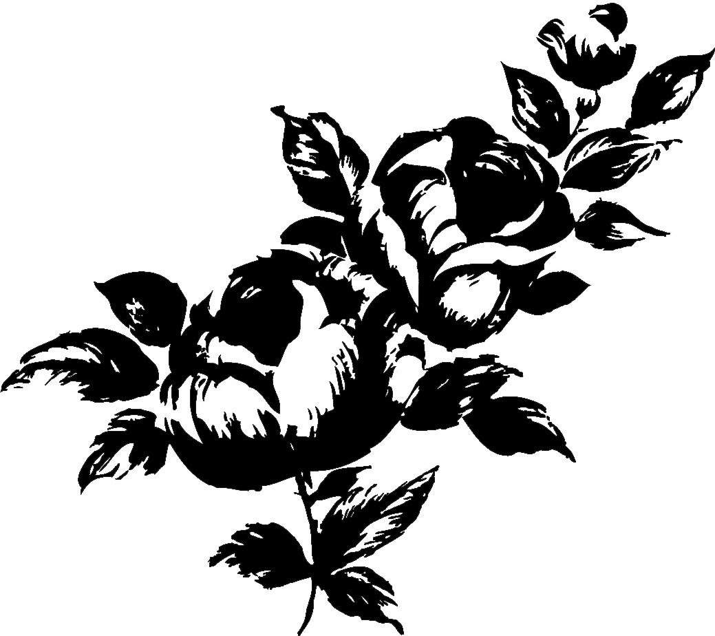 花のイラスト フリー素材 白黒 モノクロno 172 白黒 葉 リアル