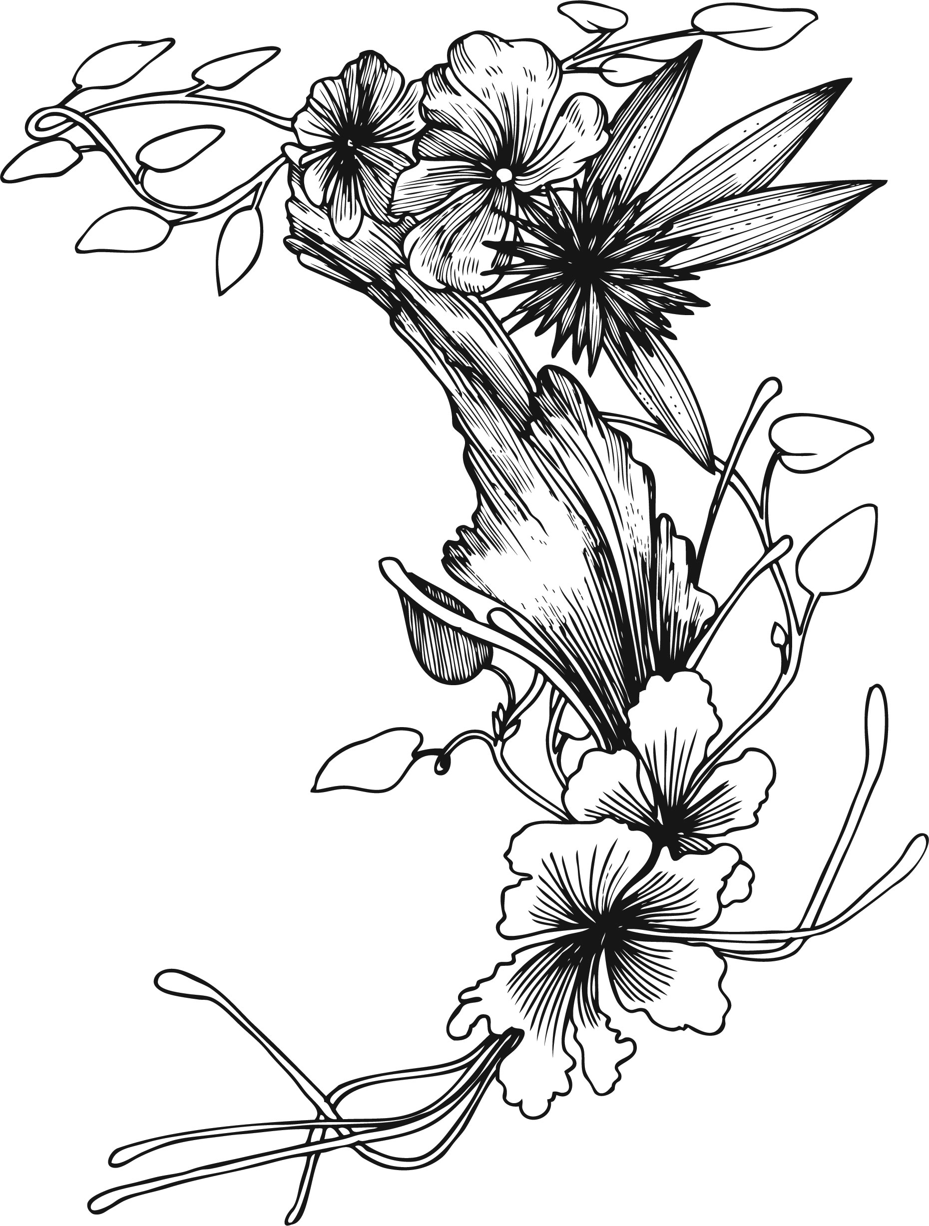 白黒の花のイラスト-白黒・枝葉
